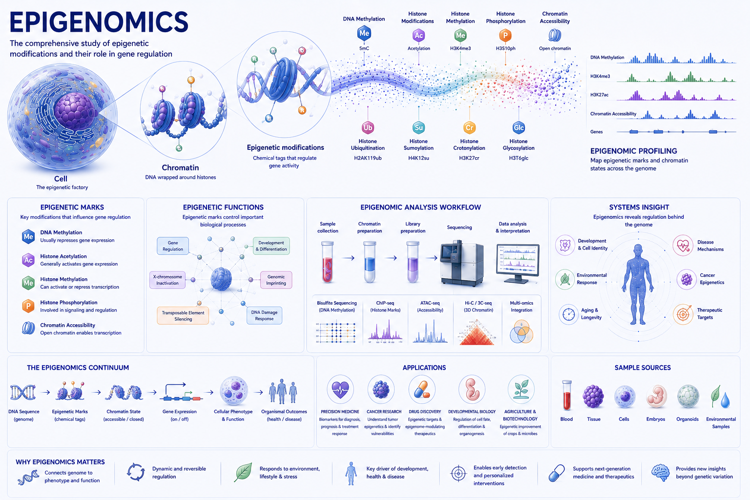 Epigenomics overview infographic