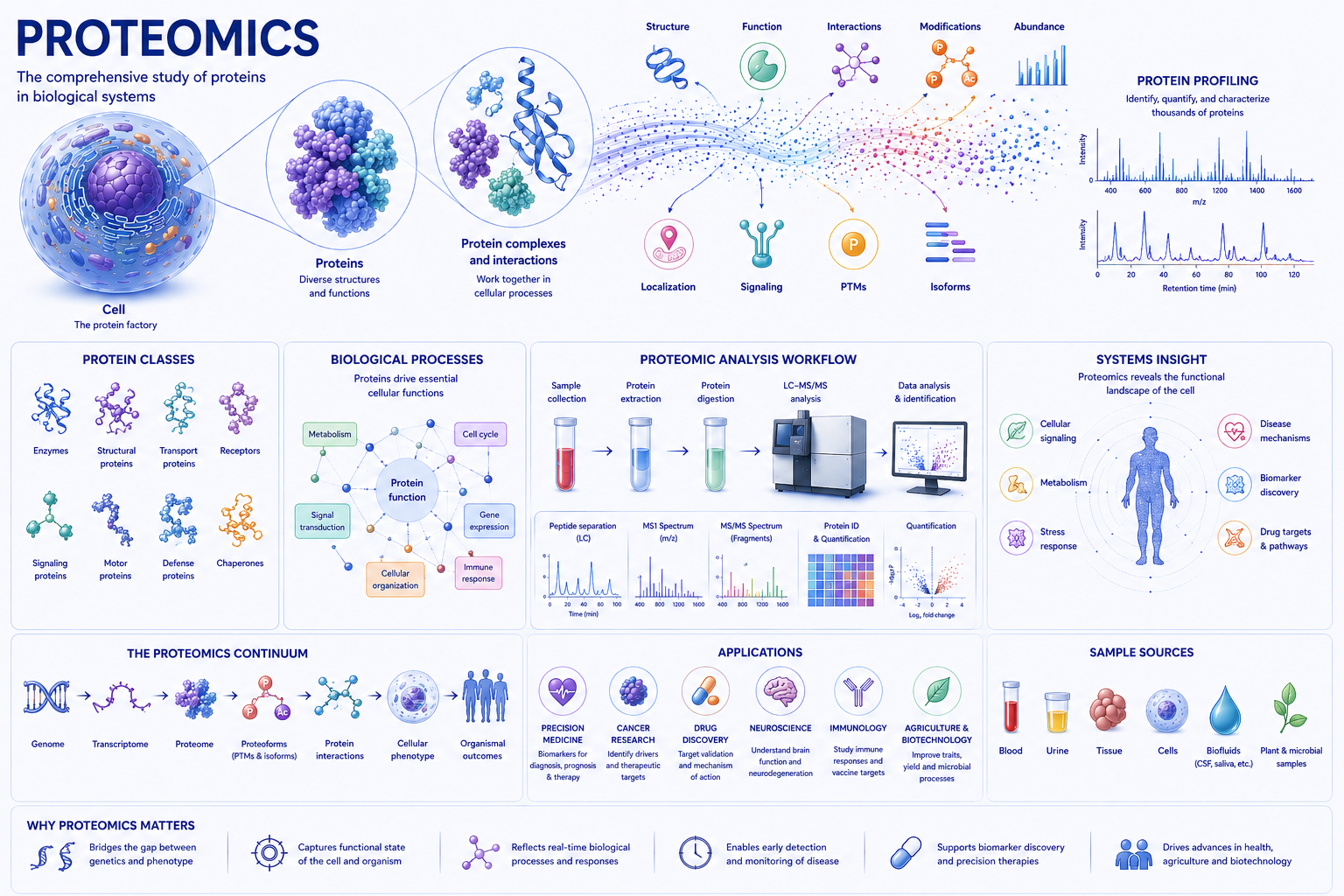 Proteomics overview infographic
