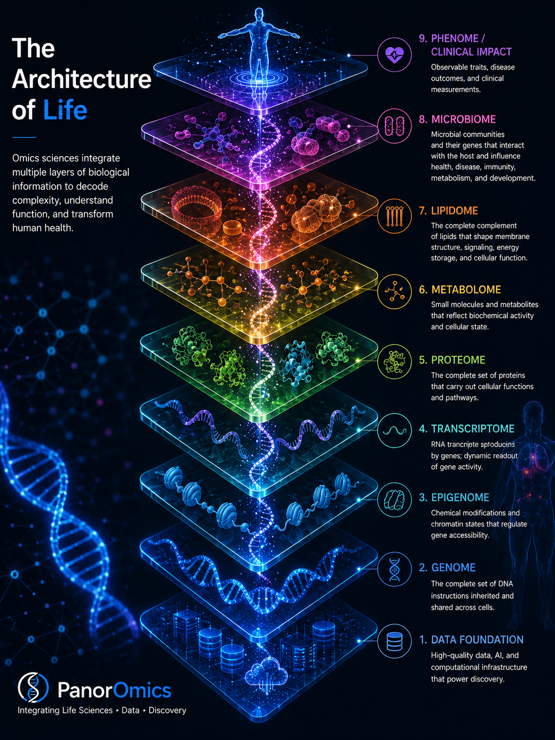 PanorOmics Architecture of Life